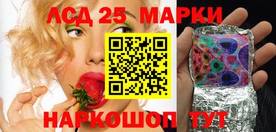 гидра Новодвинск