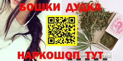 гидра Новодвинск