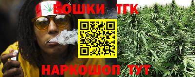 гидра Новодвинск