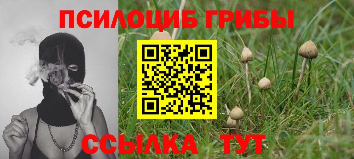 Псилоцибиновые грибы мухоморы Старая Купавна